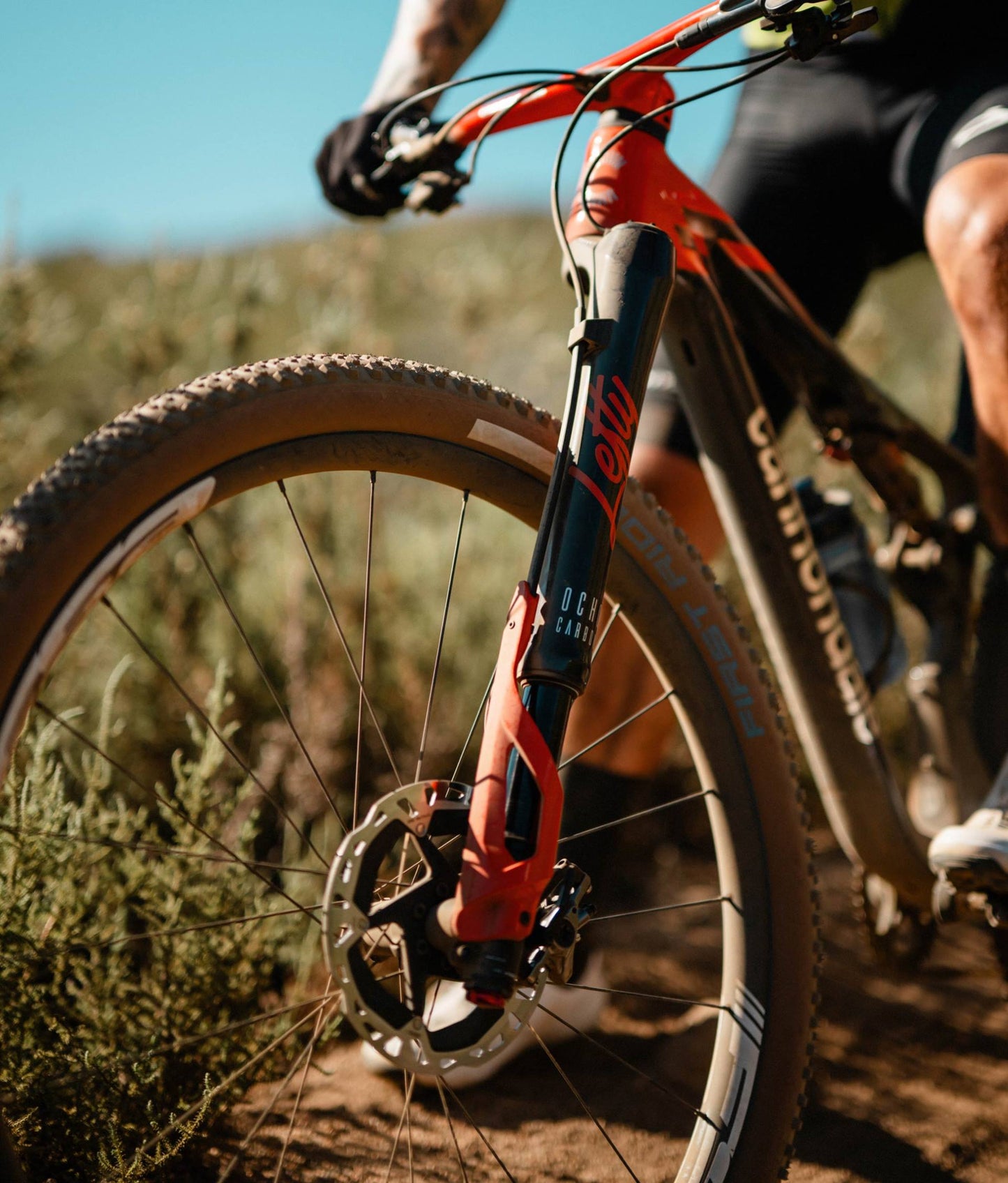 Bicicleta Cannondale 29 U SCALPEL CRB 1 RAW LG 1
