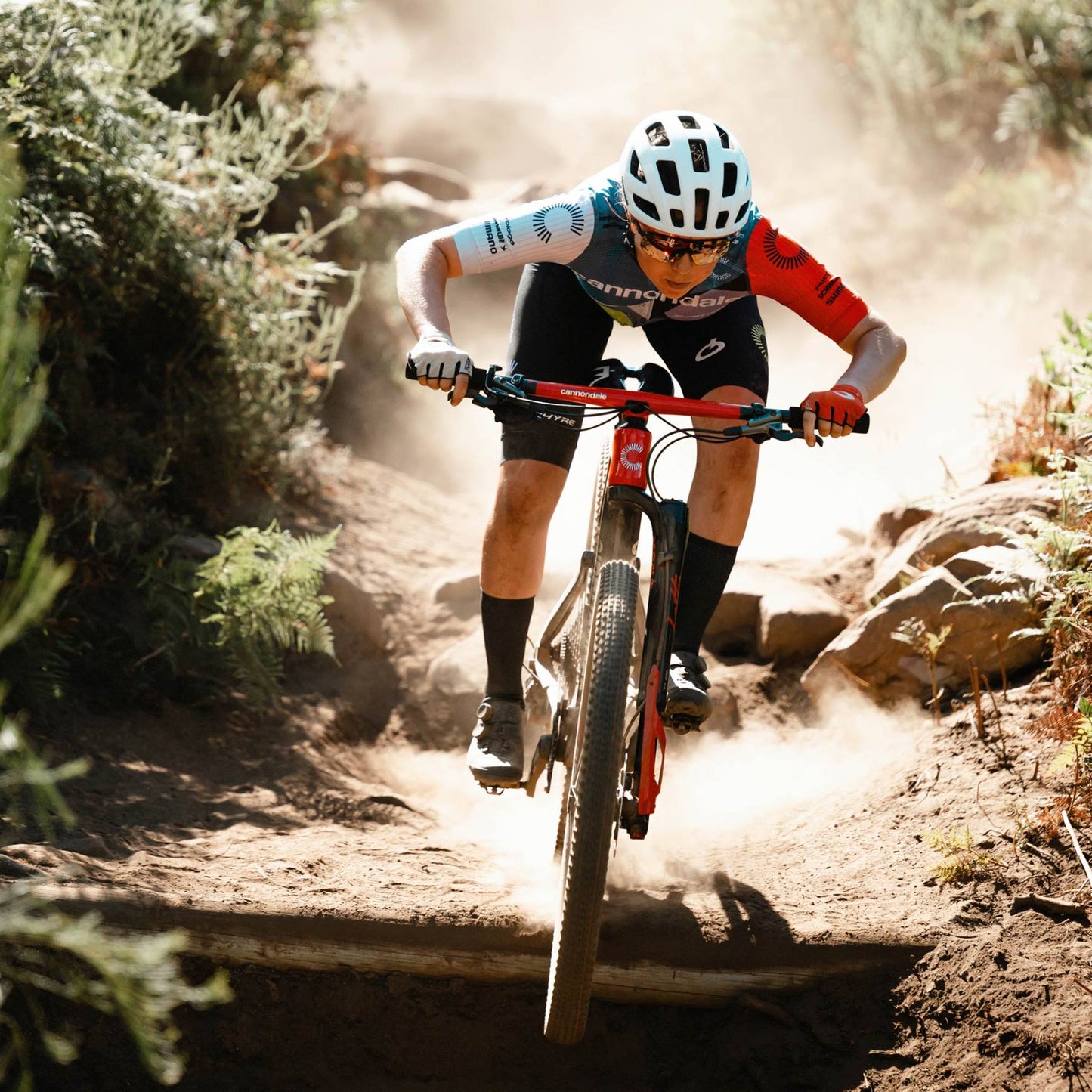 Bicicleta Cannondale 29 U SCALPEL CRB 1 RAW LG 1