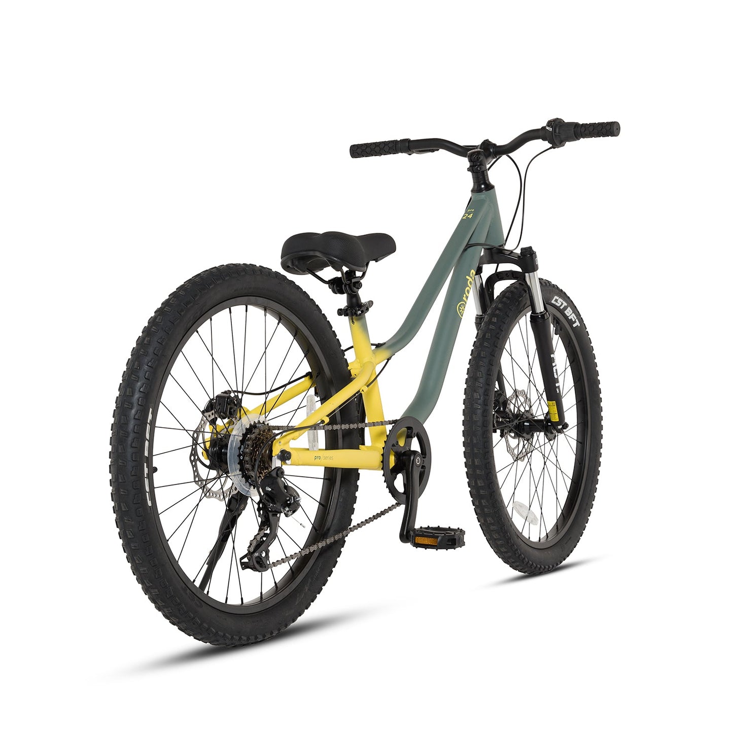 BICICLETA PARA NIÑOS NIÑAS RODA PRO 24 SPORT