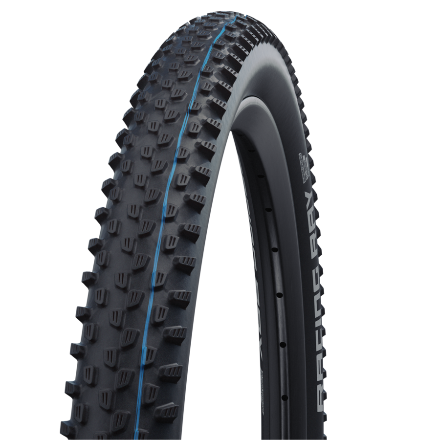 Schwalbe Neumático Racing Ray S/Ground Addix Speedgrip 29X2.35"