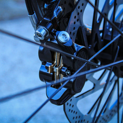 Frenos Lewis AE 4 pistones Black