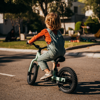 BICICLETA DE EQUILIBRIO PARA NIÑOS RODA PRO 12